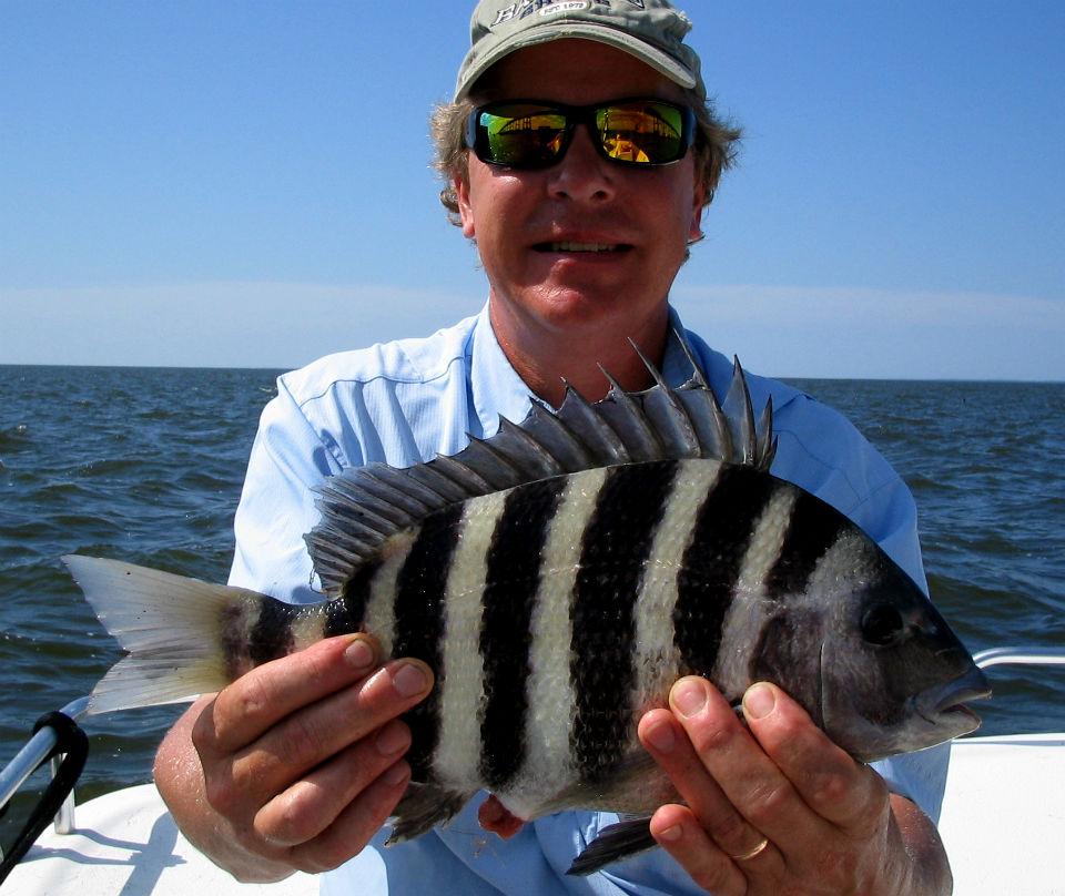 OBX Sheepshead Fishing