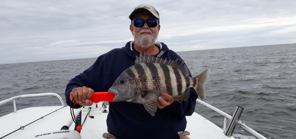 How to Catch Sheepshead