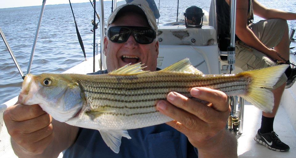 OBX Rockfish