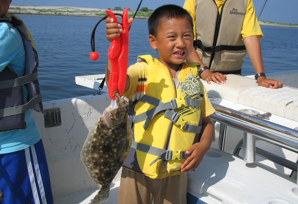 Summer flounder