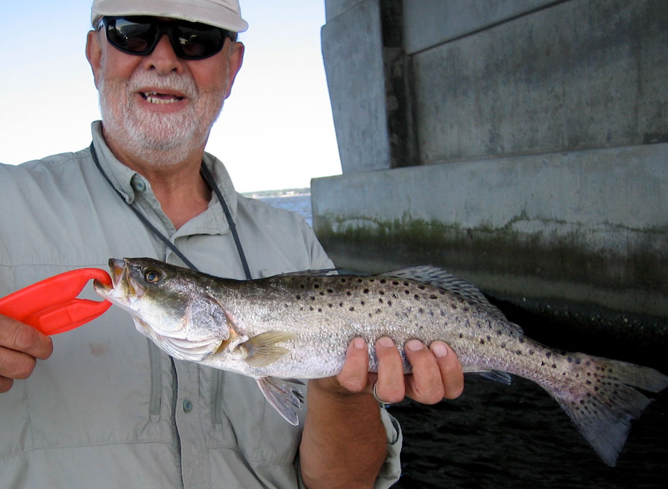 Outer Banks specks