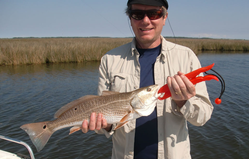 OBX Red drum