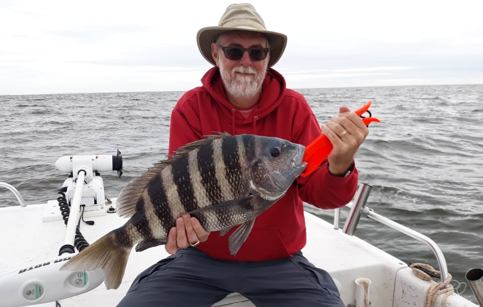 How to Catch Sheepshead