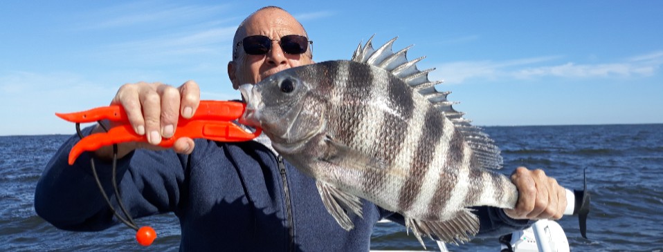 OBX Sheepshead fishing